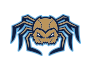 Fond du Lac Dock Spiders logo